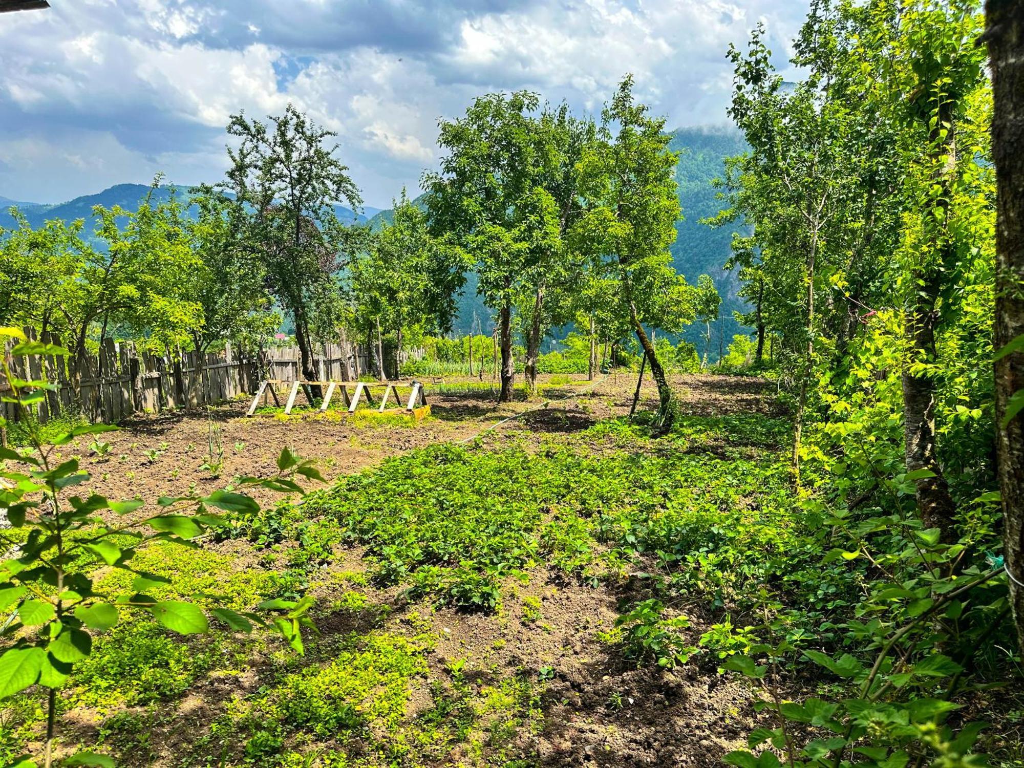 Armazi Hotel Khulo Exterior photo